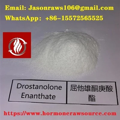 ผง Drostanolone Enanthate คุณภาพเยี่ยมสำหรับเพาะกาย CAS: 13425-31-5