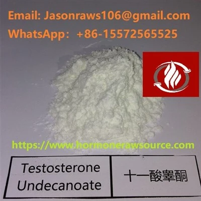ผงเทสโทสเทอโรน Undecanoate คุณภาพเยี่ยมสำหรับเพาะกาย CAS: 5949-44-0